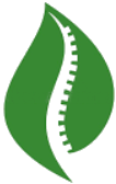 spine symbol